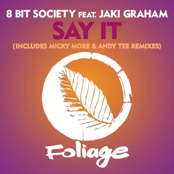 Say It (Includes Micky More & Andy Tee Remixes) - Single album cover