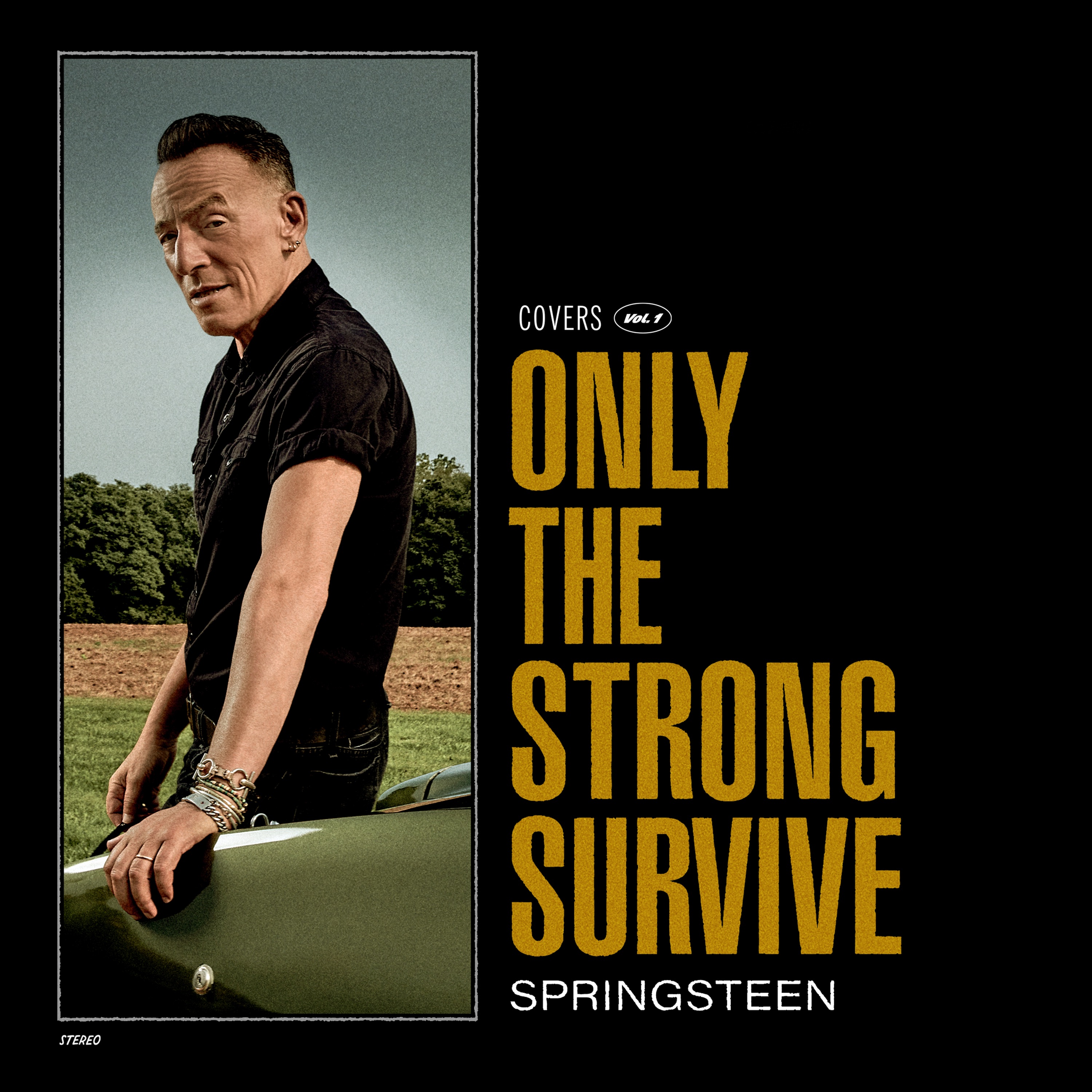 Only the Strong Survive album cover