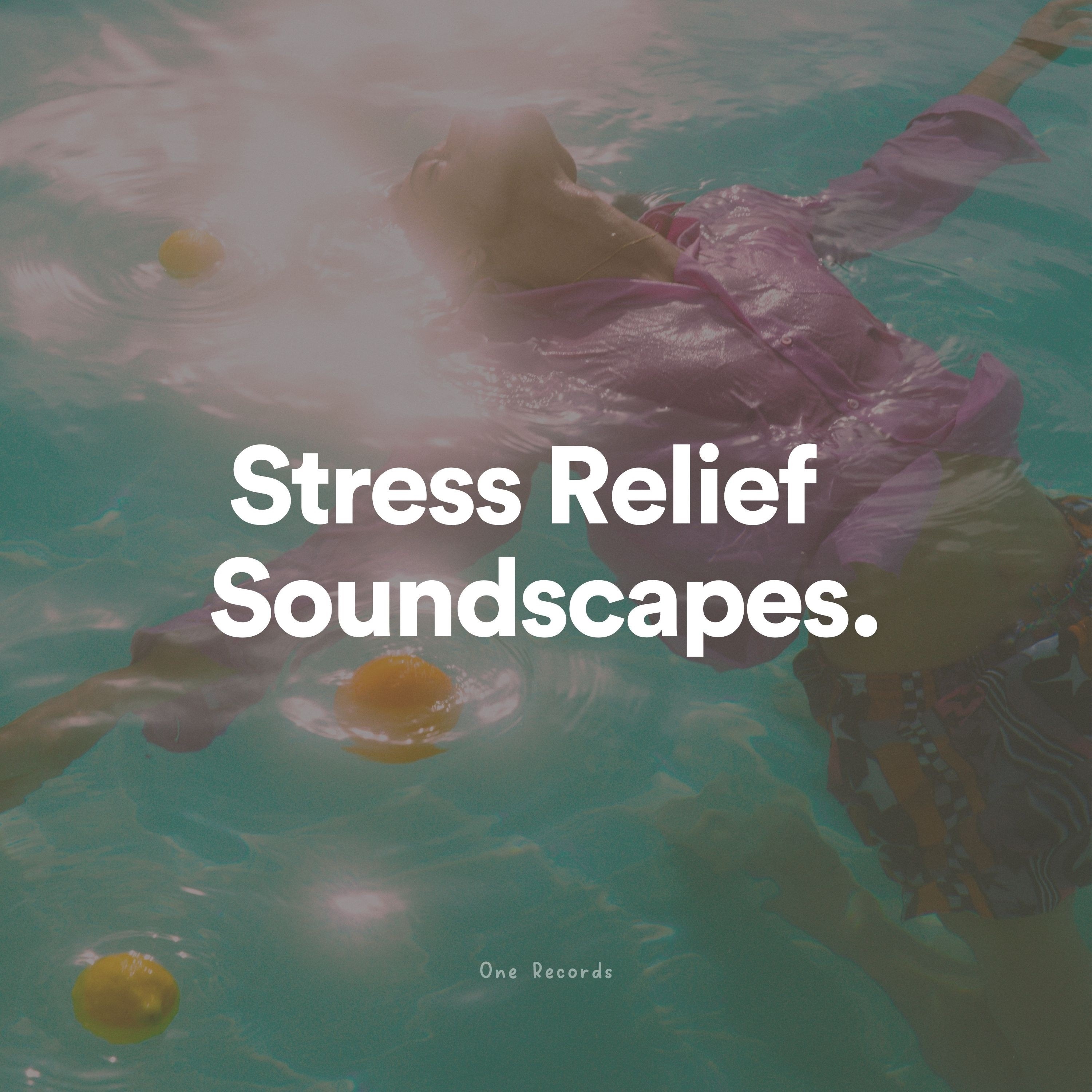 Stress Relief Soundscapes album cover