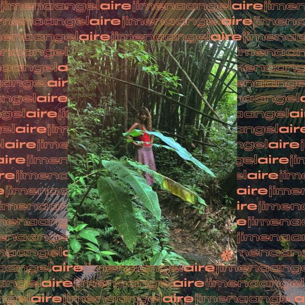Aire - EP album cover
