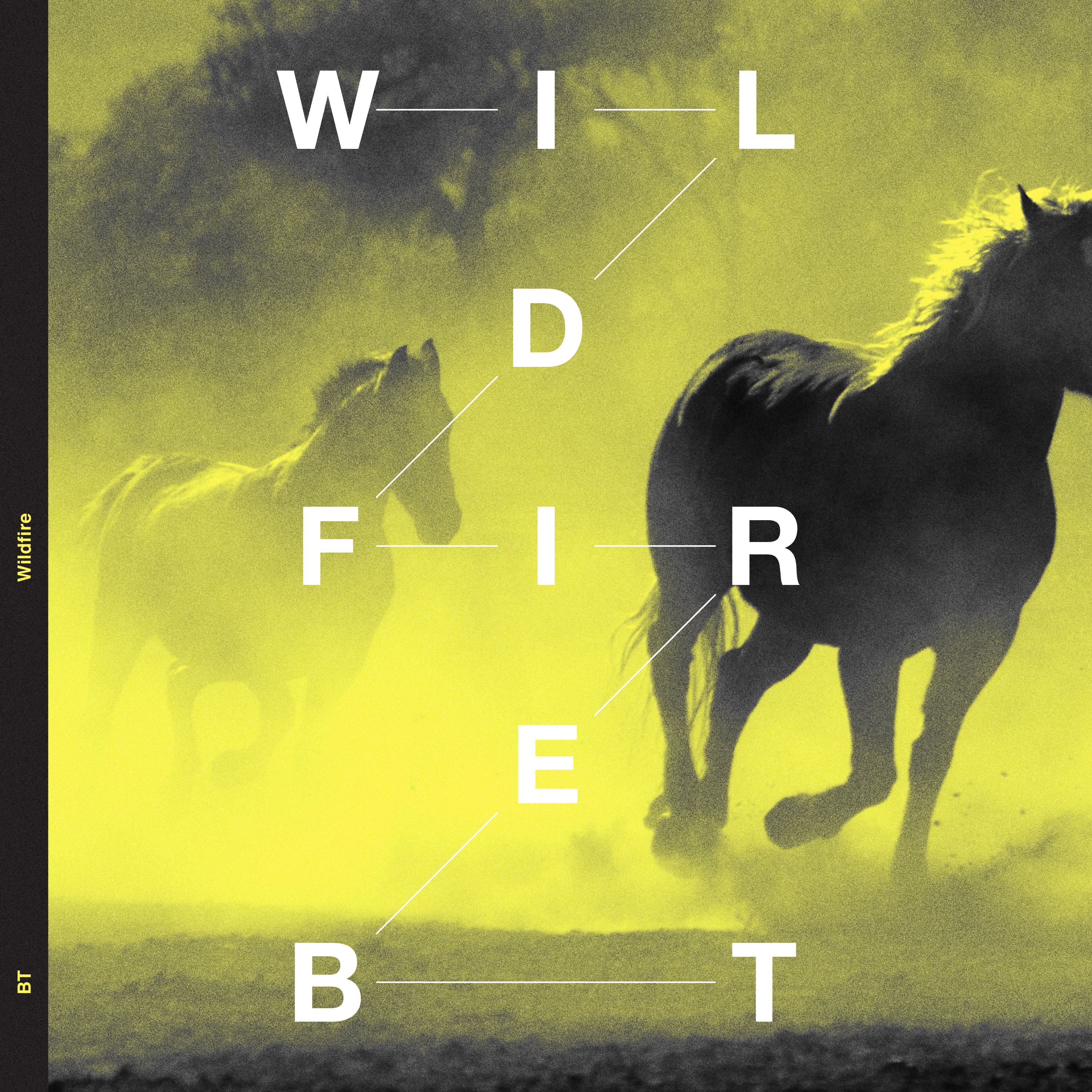Wildfire album cover