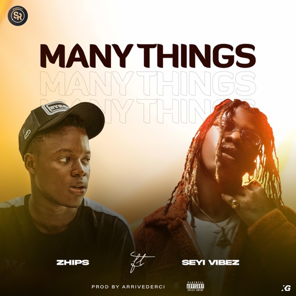 Many things (feat. Seyi Vibez) - Single album cover