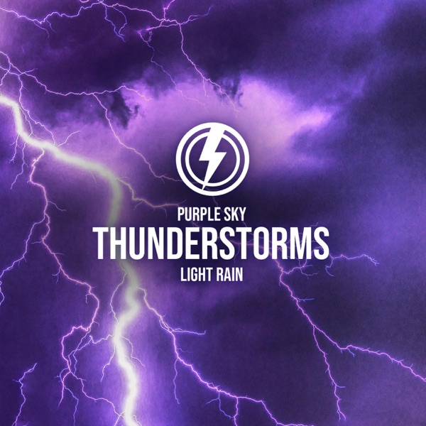 Purple Sky Light Rain - Single album cover
