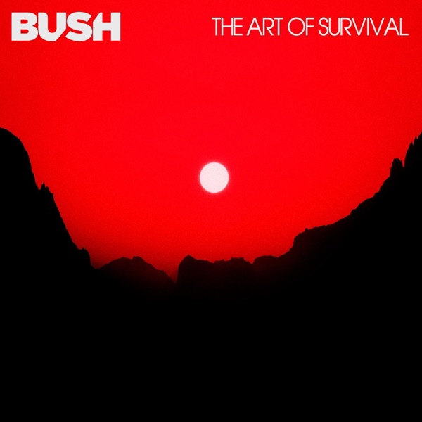 The Art of Survival album cover