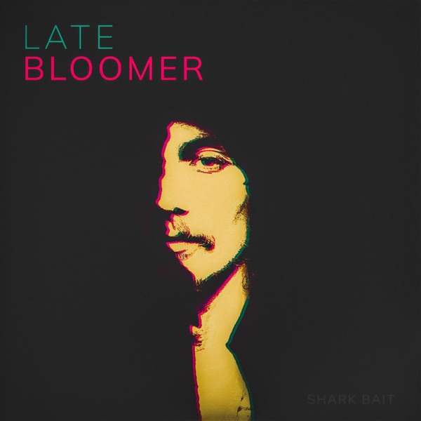 Late Bloomer - Single album cover