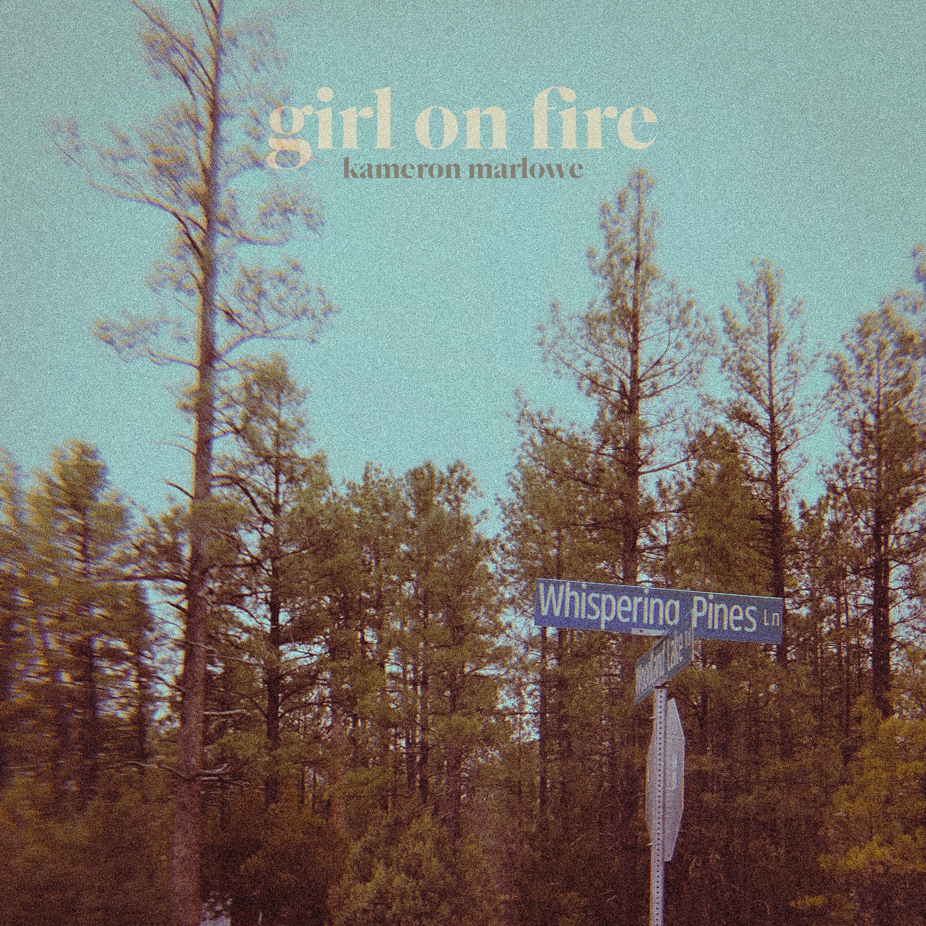 Girl On Fire - Single album cover