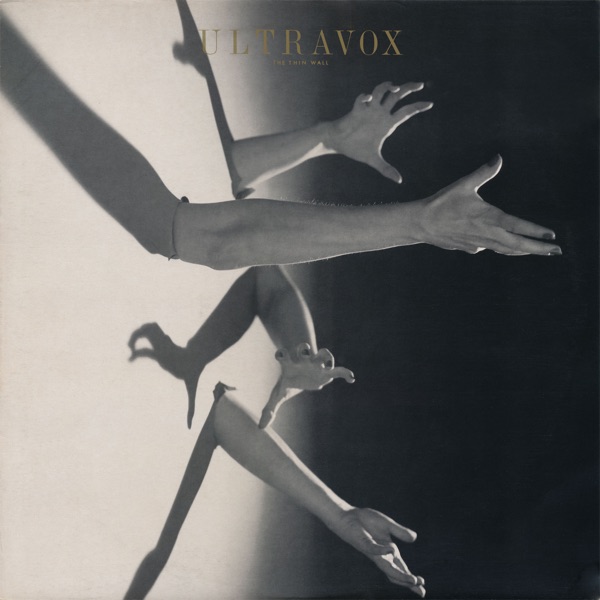 The Thin Wall - Single album cover