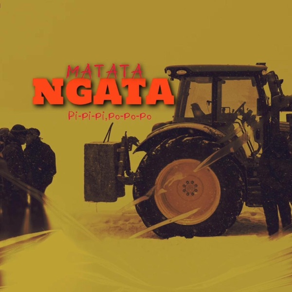 NGATA (Pi-Pi-Pi, Po-Po-Po) - Single album cover