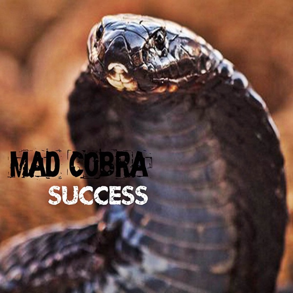 Success album cover