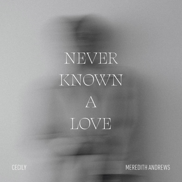 Never Known a Love - Single album cover
