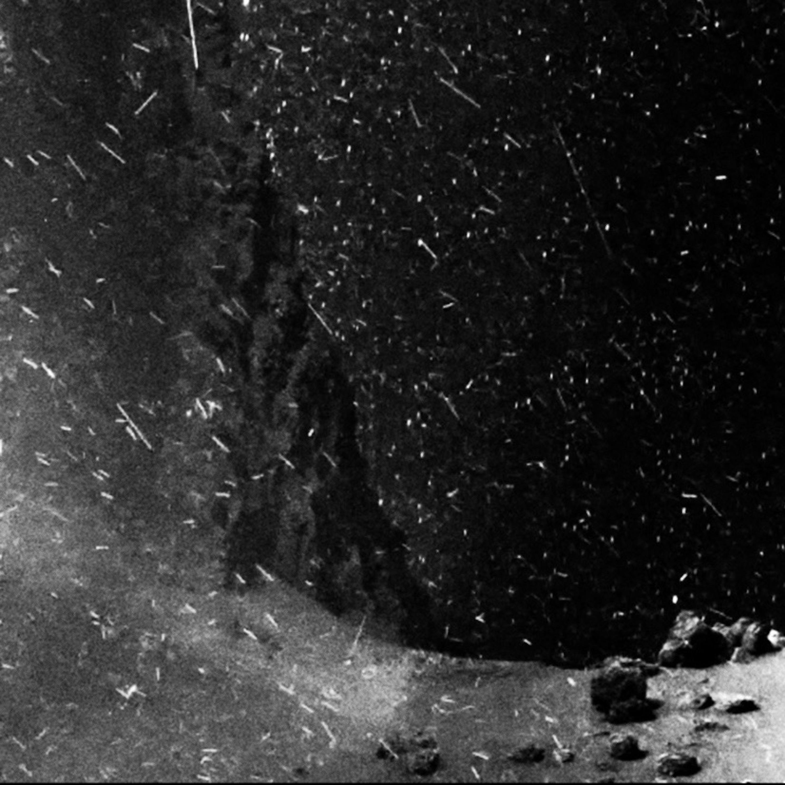 They Are Never Coming Back album cover