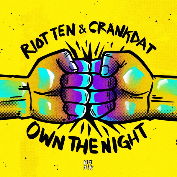 Own the Night - Single album cover
