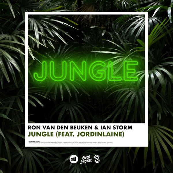 Jungle (feat. JordinLaine) - Single album cover