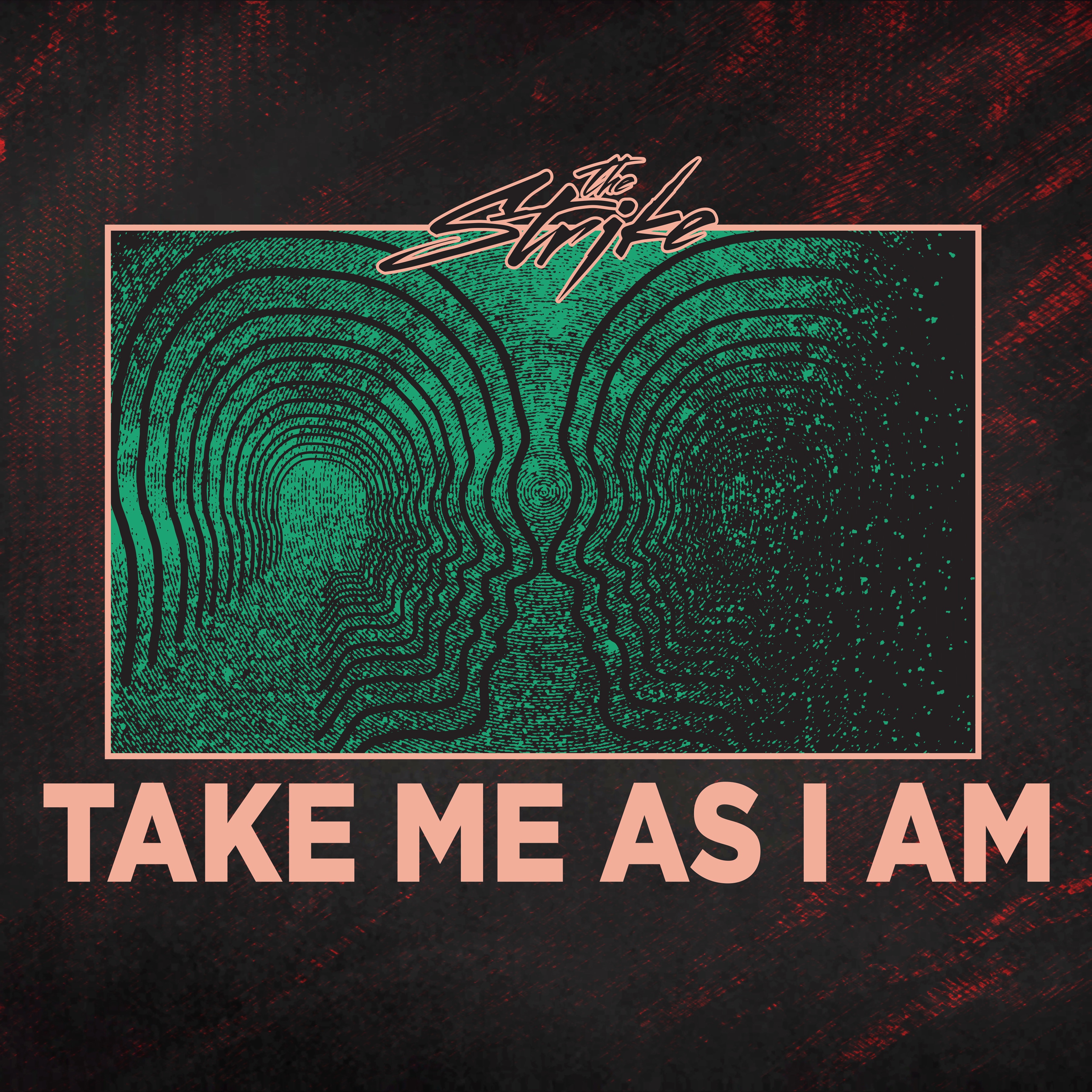 Take Me as I Am - Single album cover