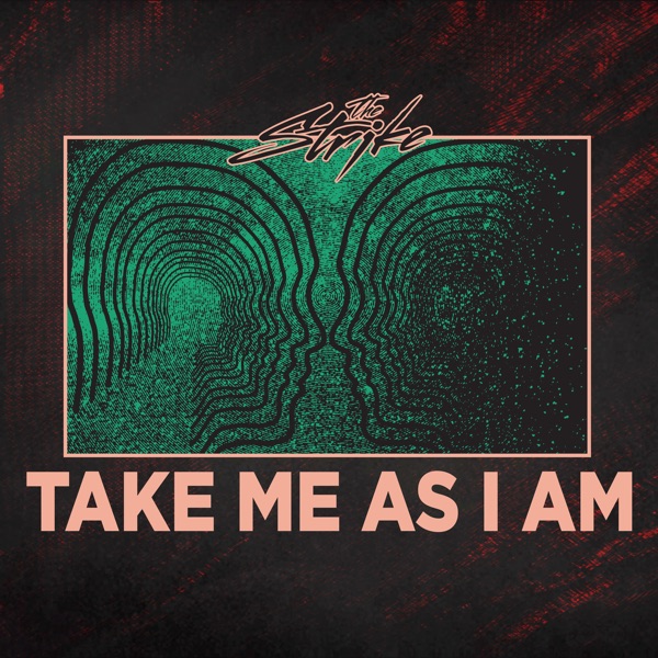 Take Me as I Am - Single album cover