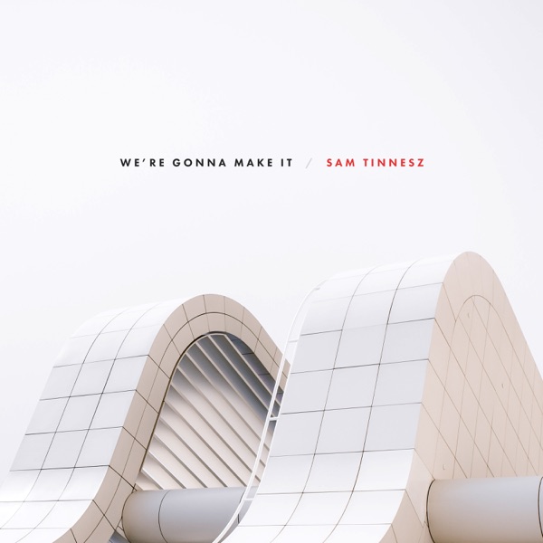 We're Gonna Make It - Single album cover