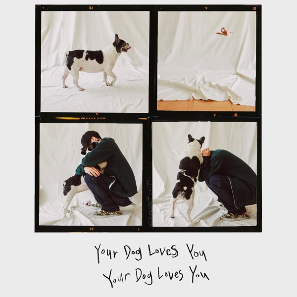 Your Dog Loves You (feat. Crush) - Single album cover