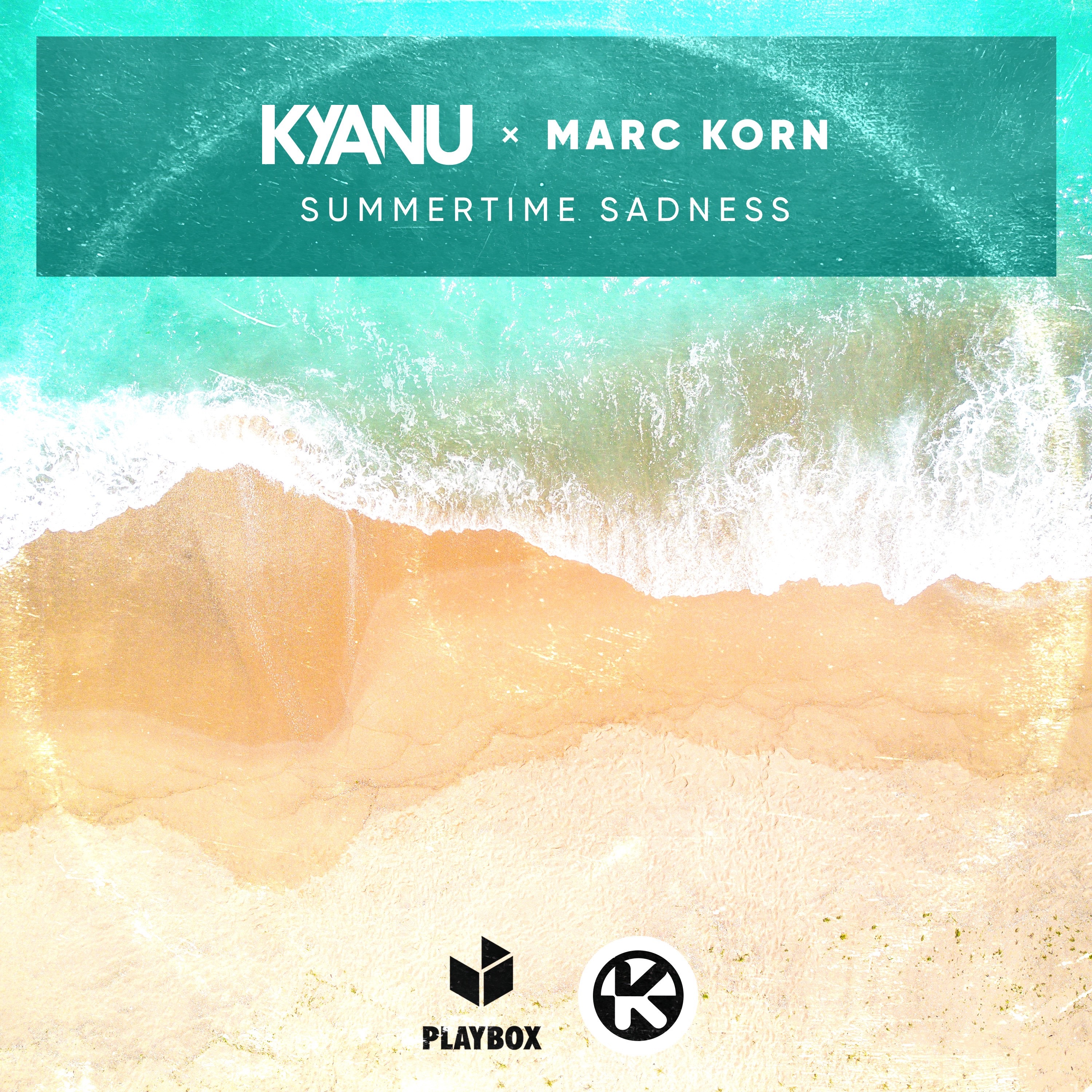 Summertime Sadness - Single album cover