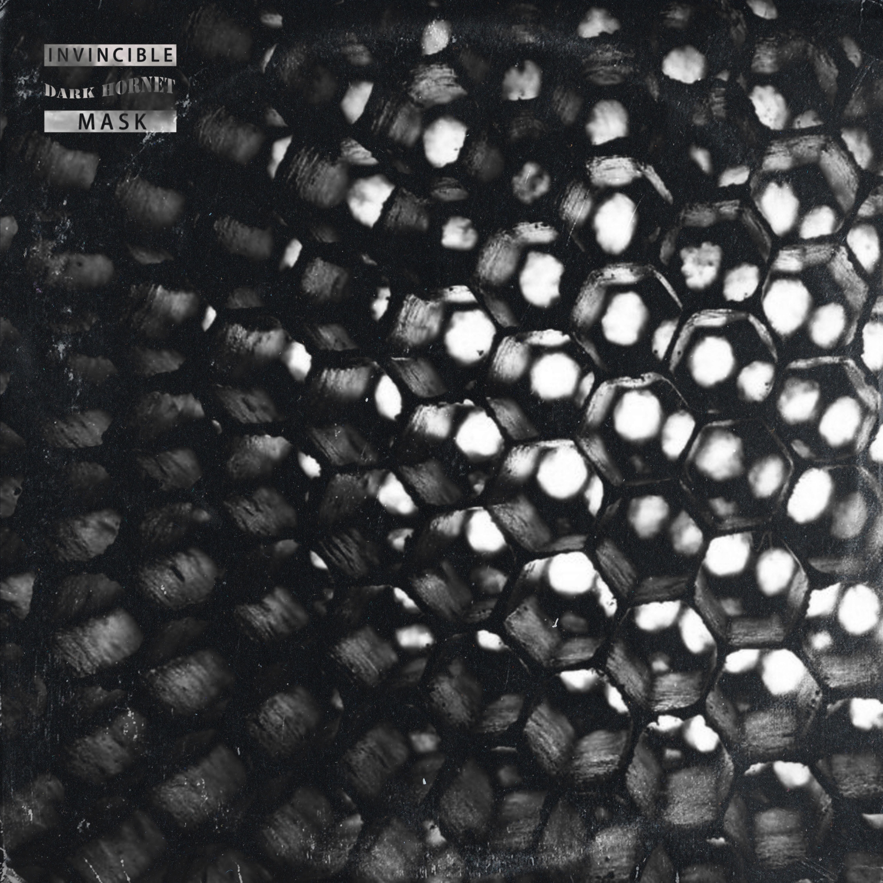 Dark Hornet album cover