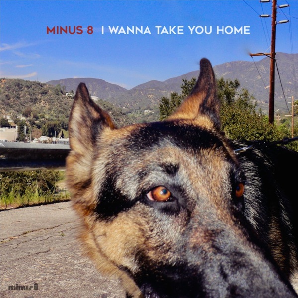 I Wanna Take You Home - Single album cover