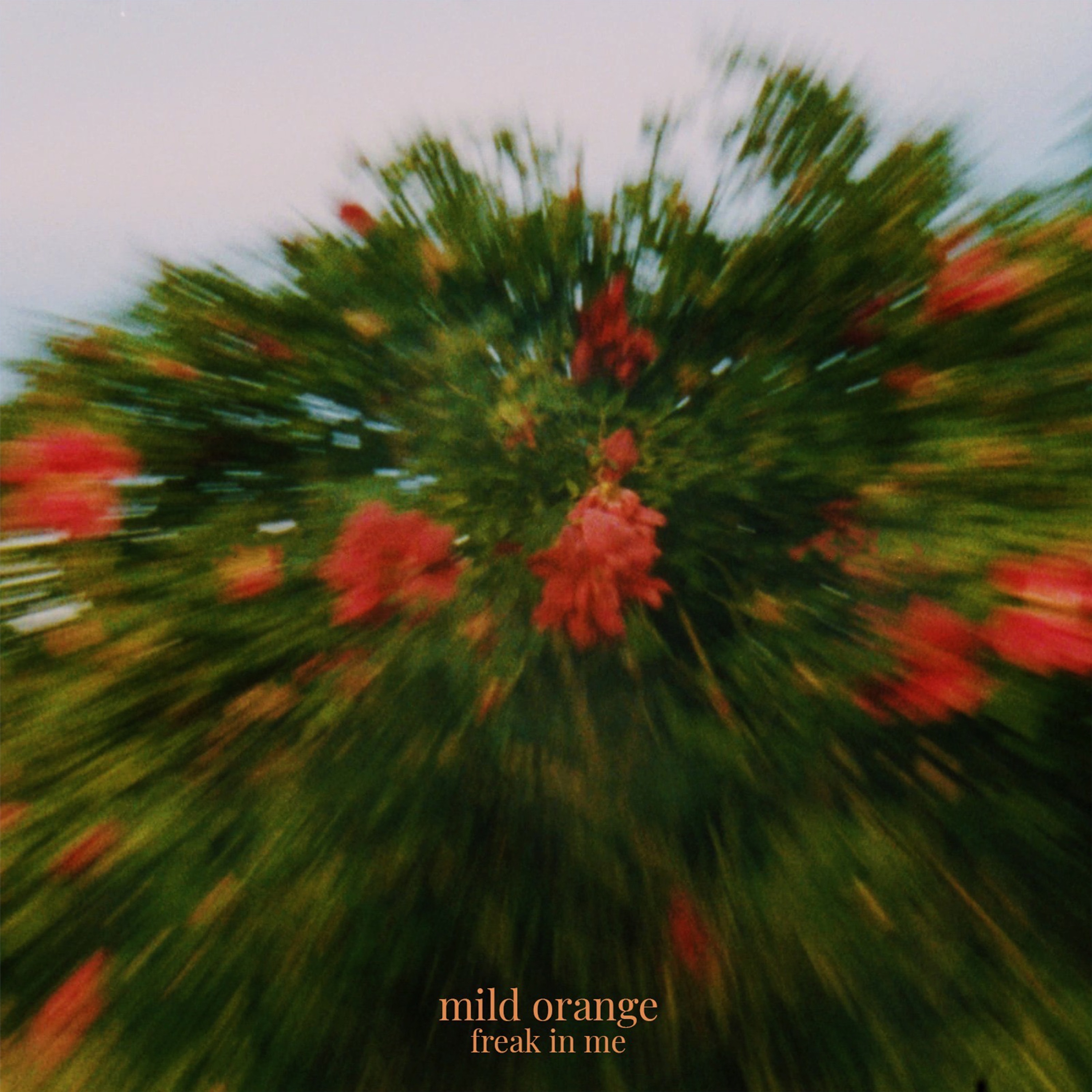 Freak In Me - Single album cover