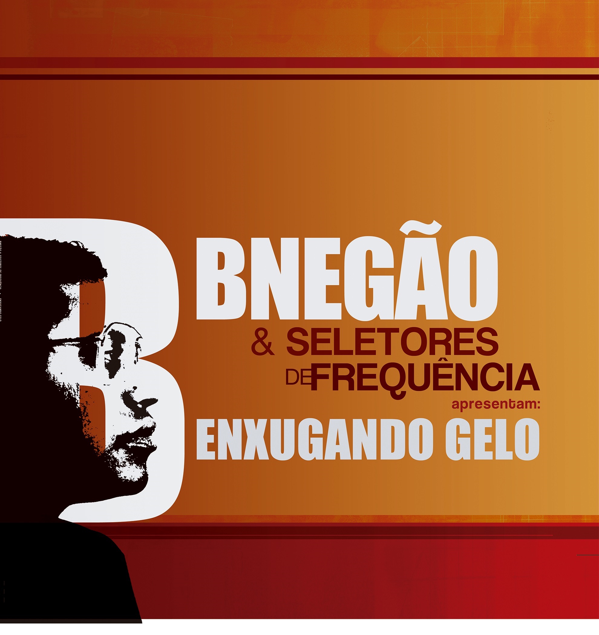 Enxugando Gelo album cover