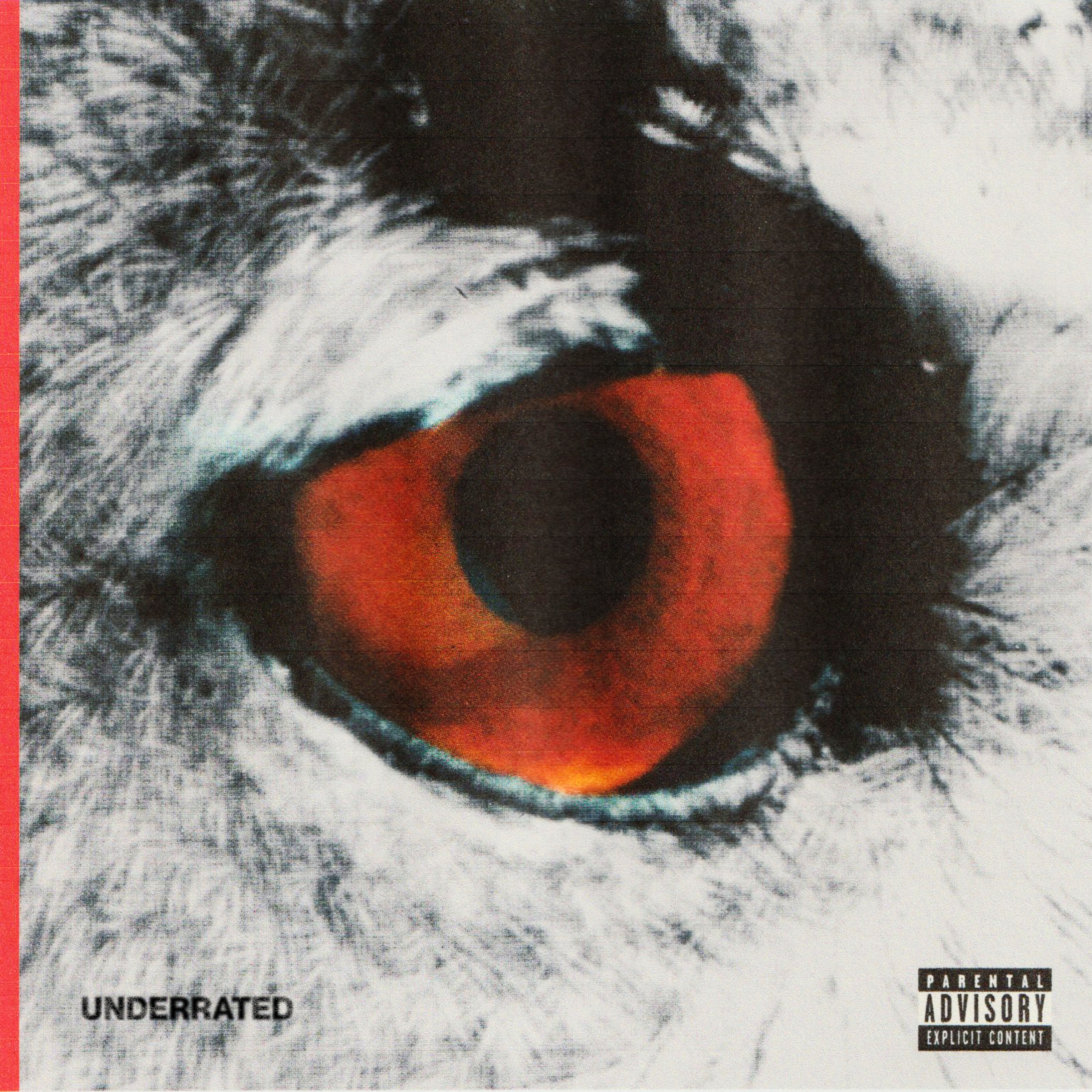 Underrated - Single album cover