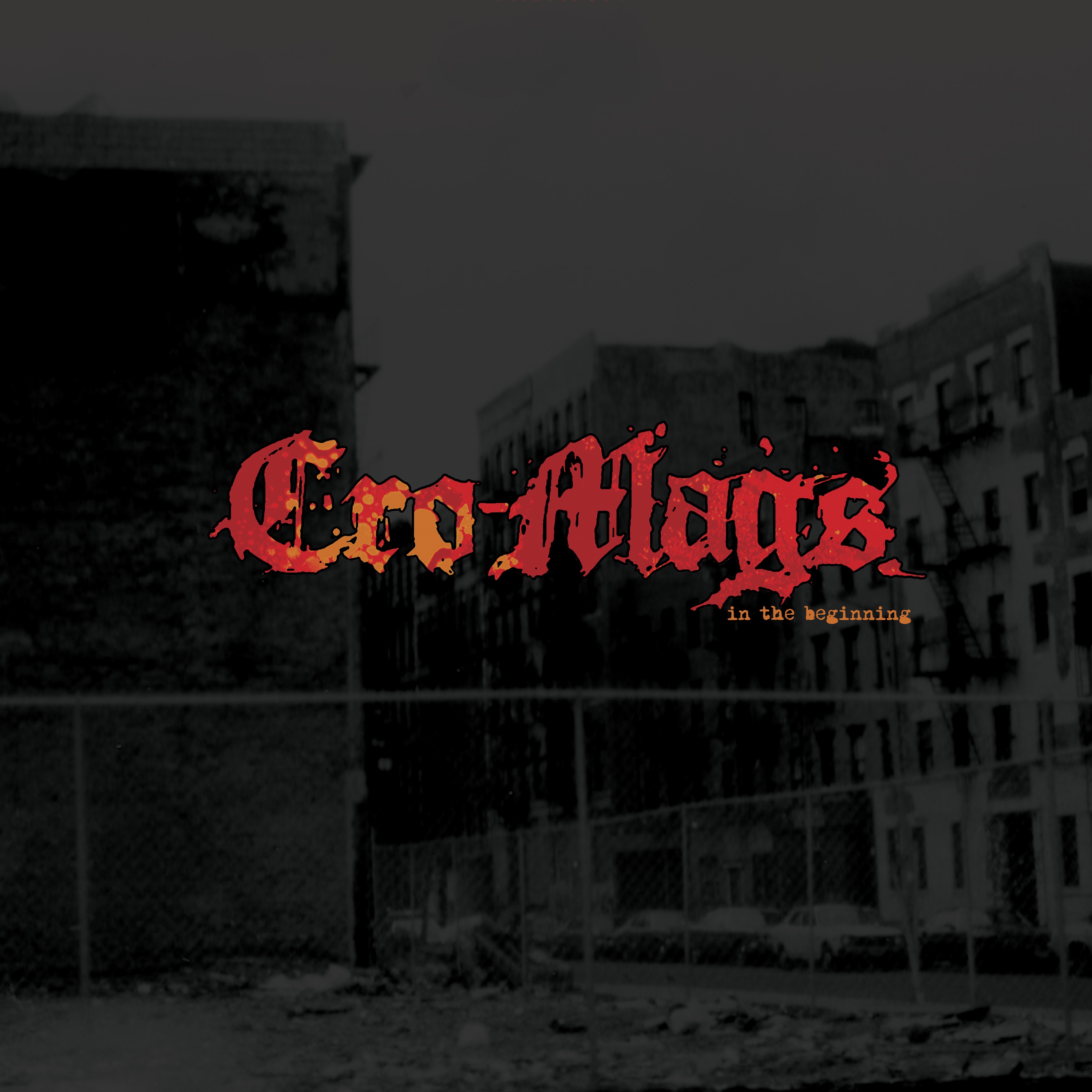 In the Beginning album cover