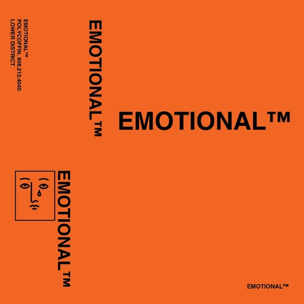 Emotional album cover