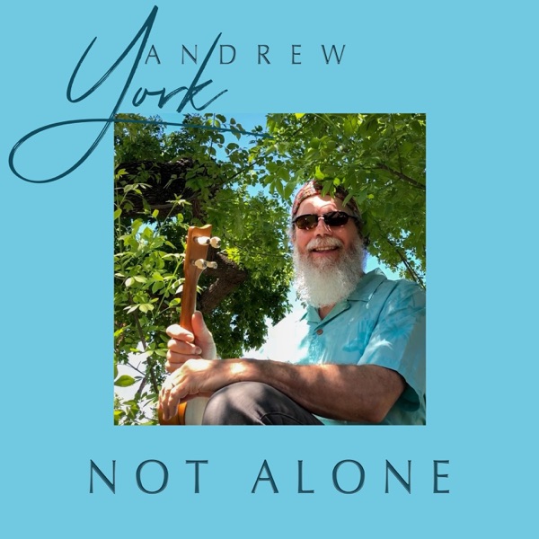 Not Alone - Single album cover
