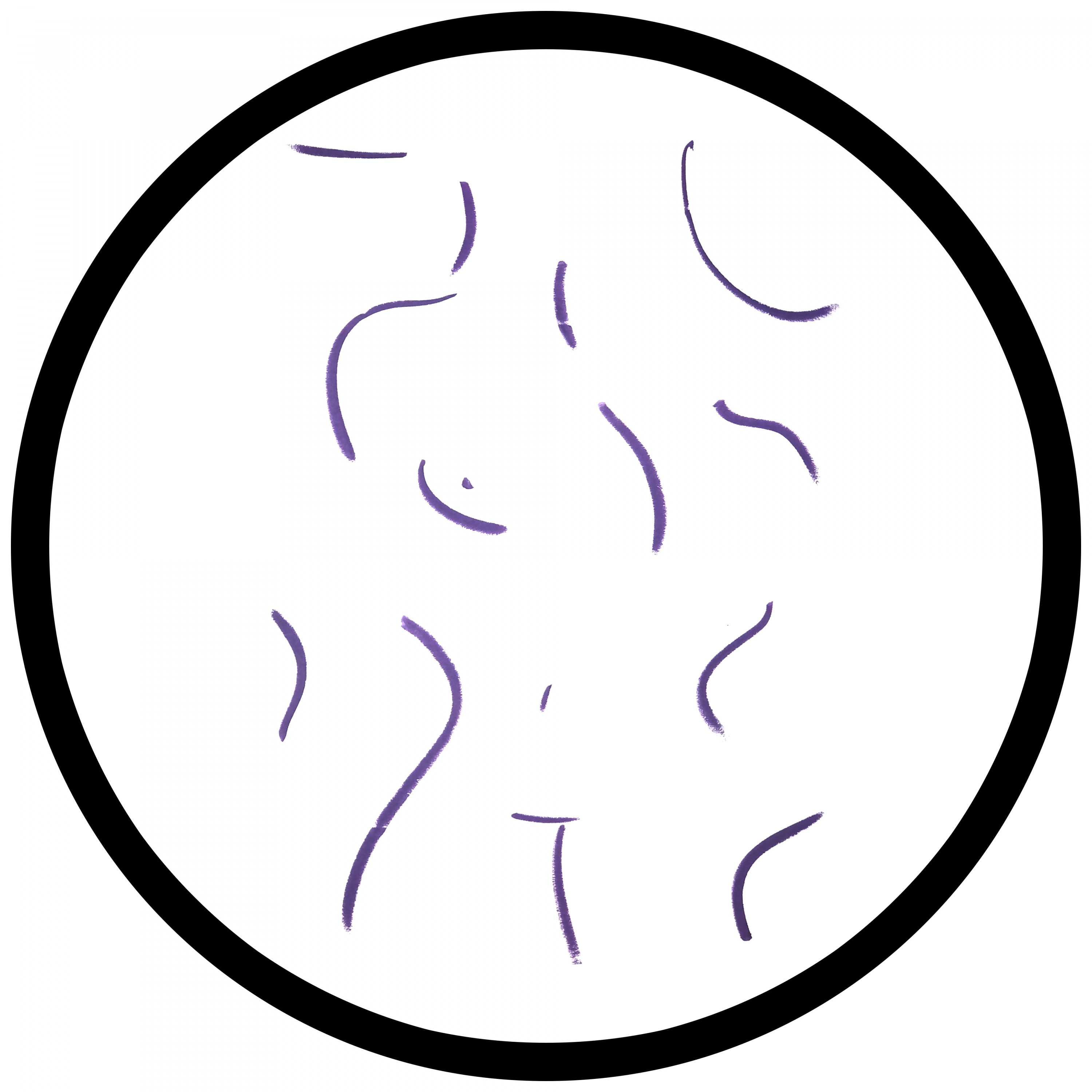 Roll Play - Single album cover