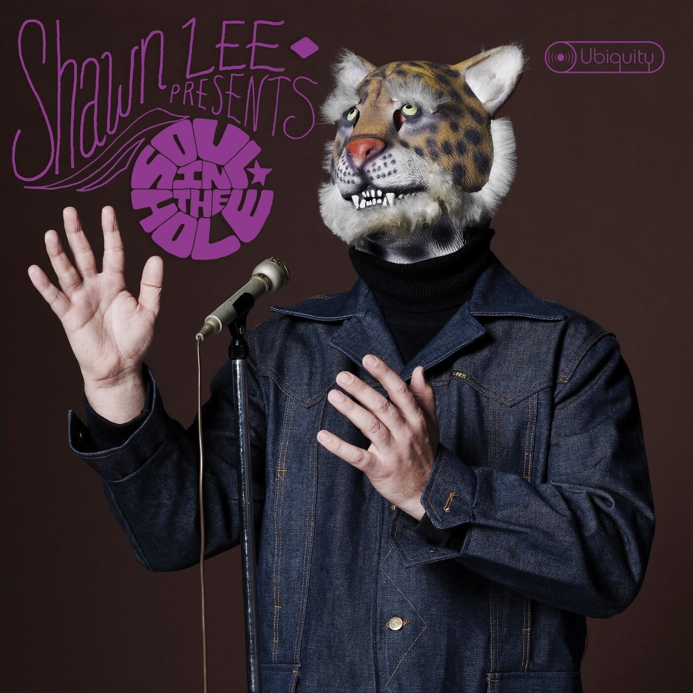 Soul in the Hole album cover