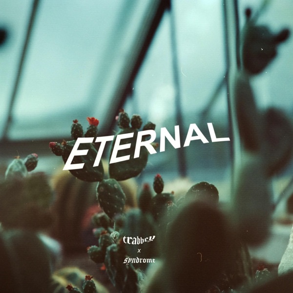 Eternal - Single album cover