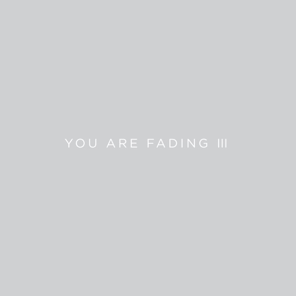 You Are Fading, Vol. 3 (Bonus Tracks 2005 - 2010) album cover