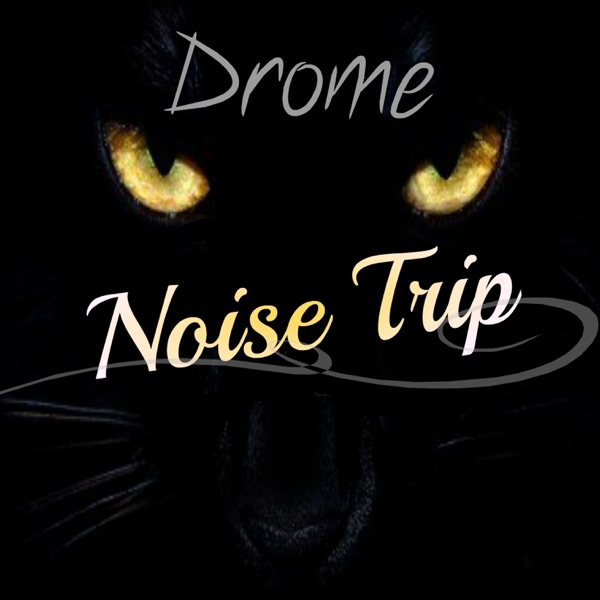 Noise Trip - Single album cover