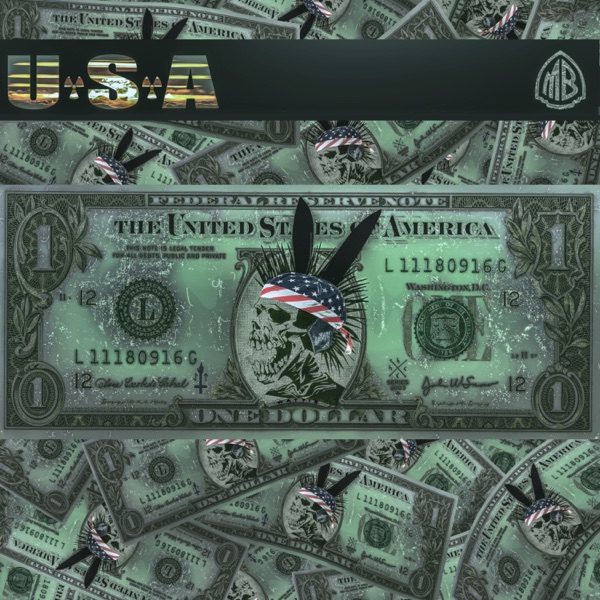 USA - Single album cover