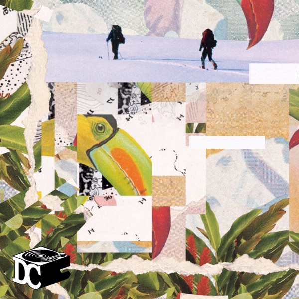 Have I Told You - Single album cover