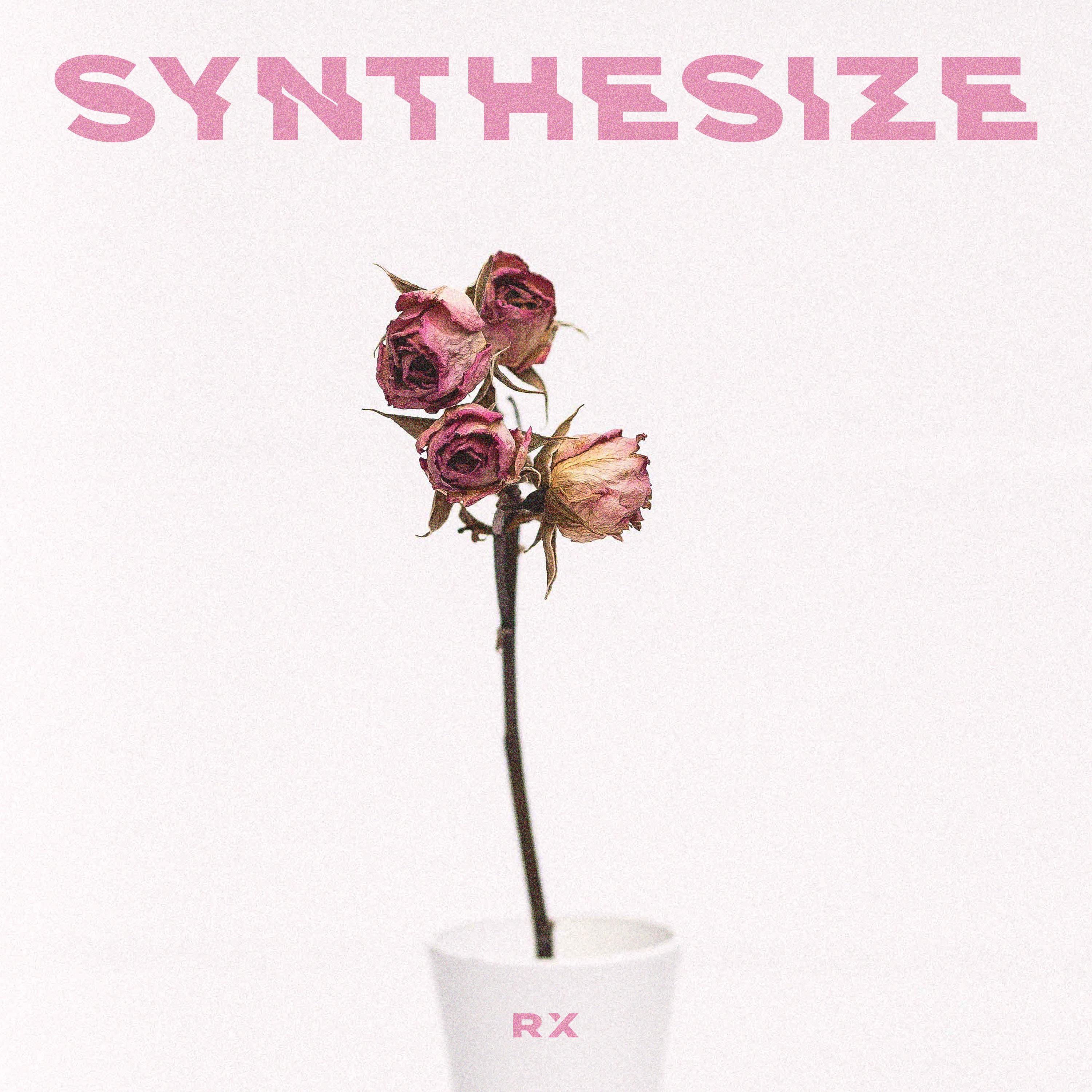 Synthesize - Single album cover