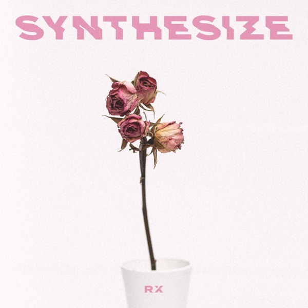 Synthesize - Single album cover