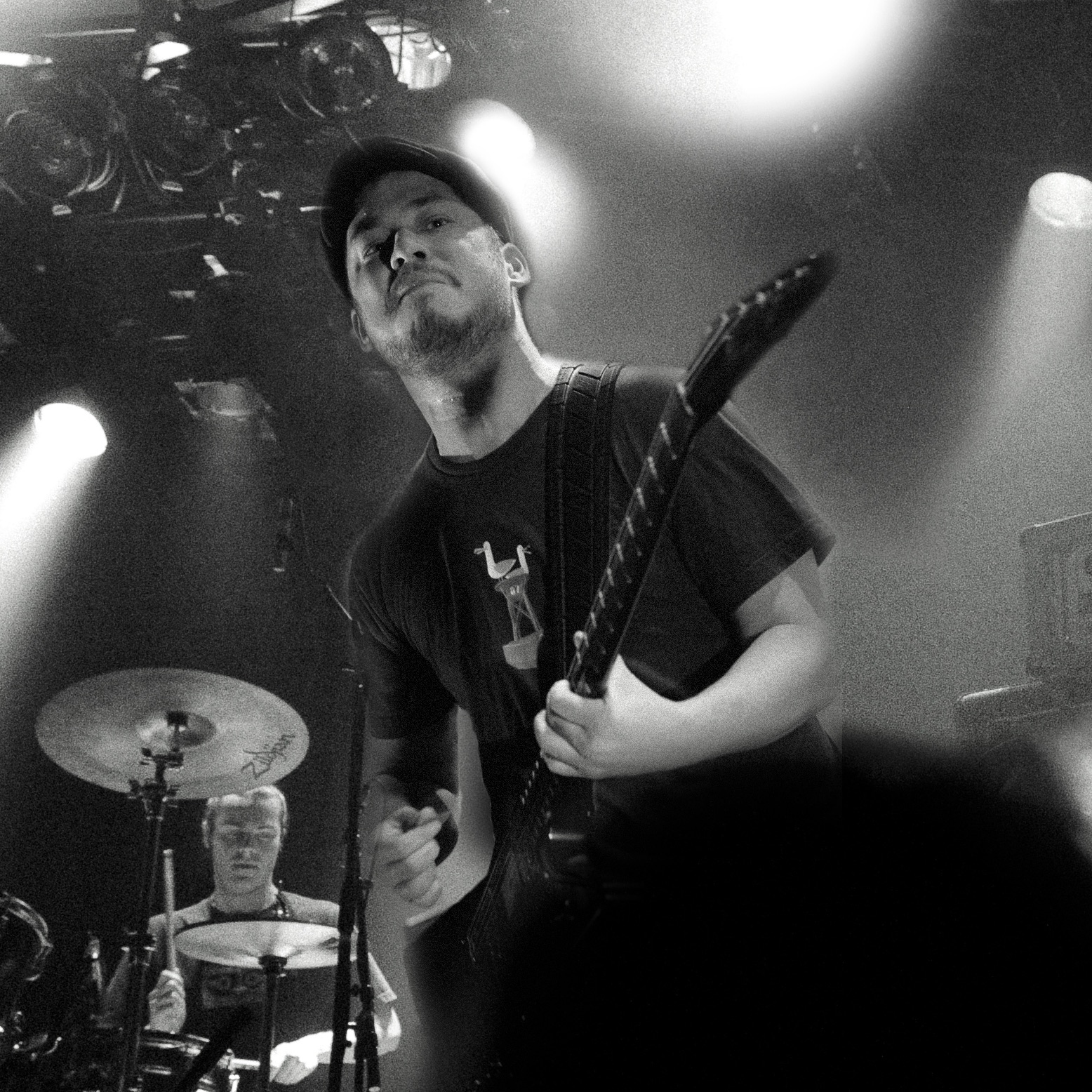 Green Lizard Portrait