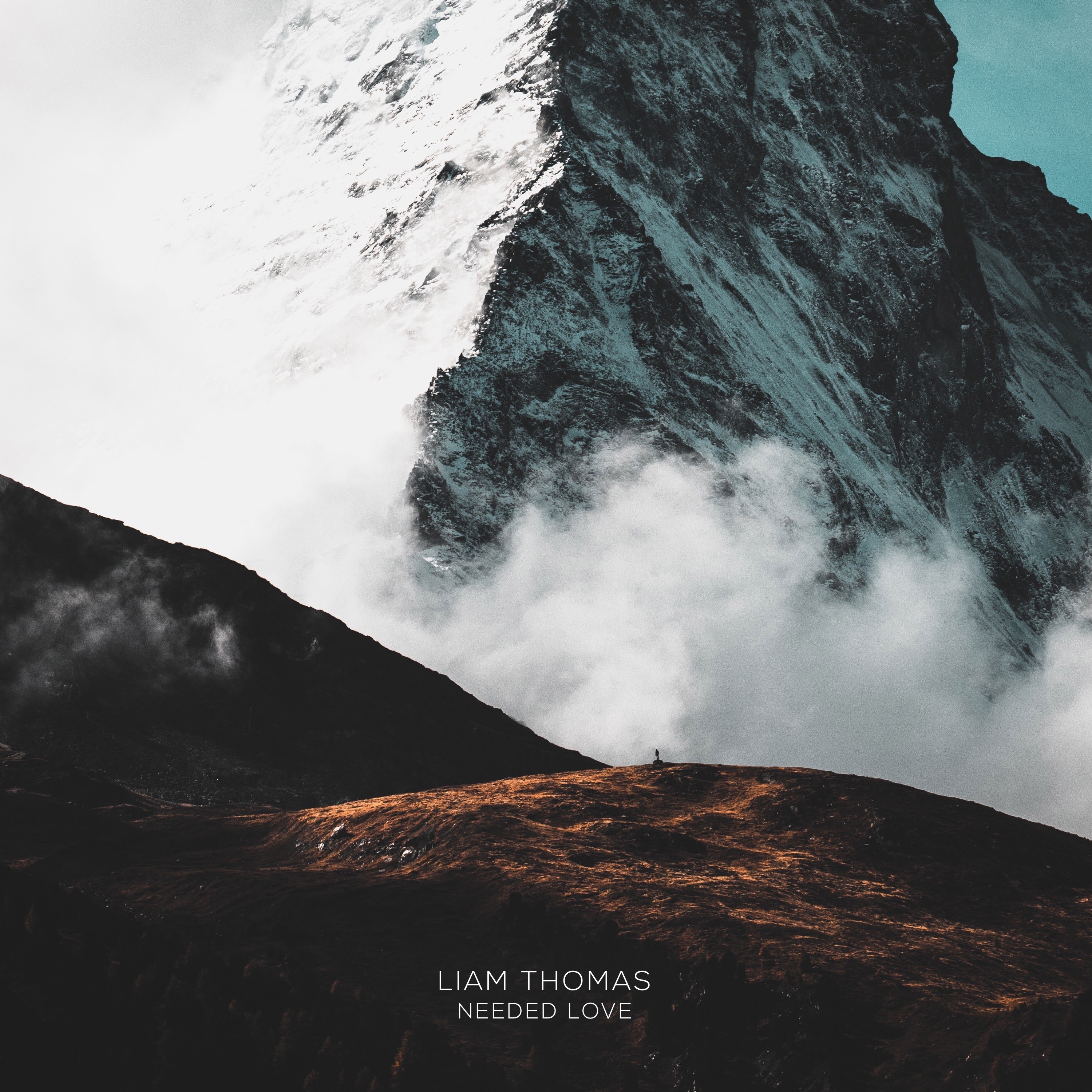 Needed Love - Single album cover