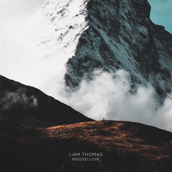 Needed Love - Single album cover