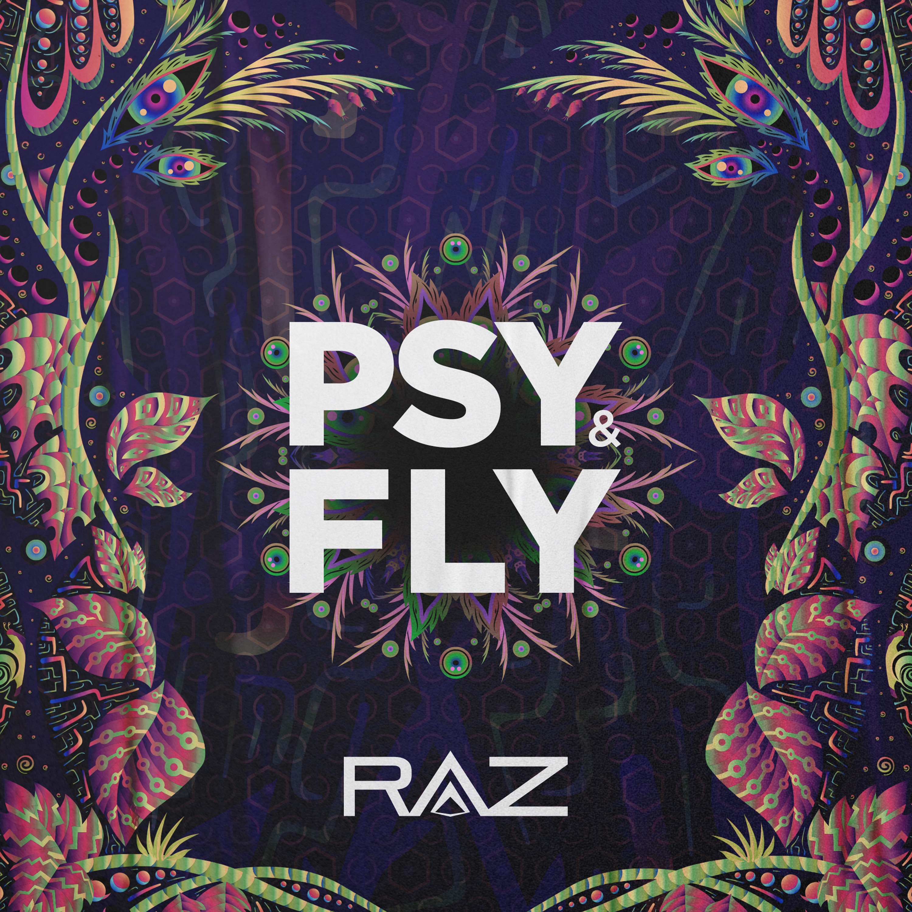 Psy & Fly - Single album cover