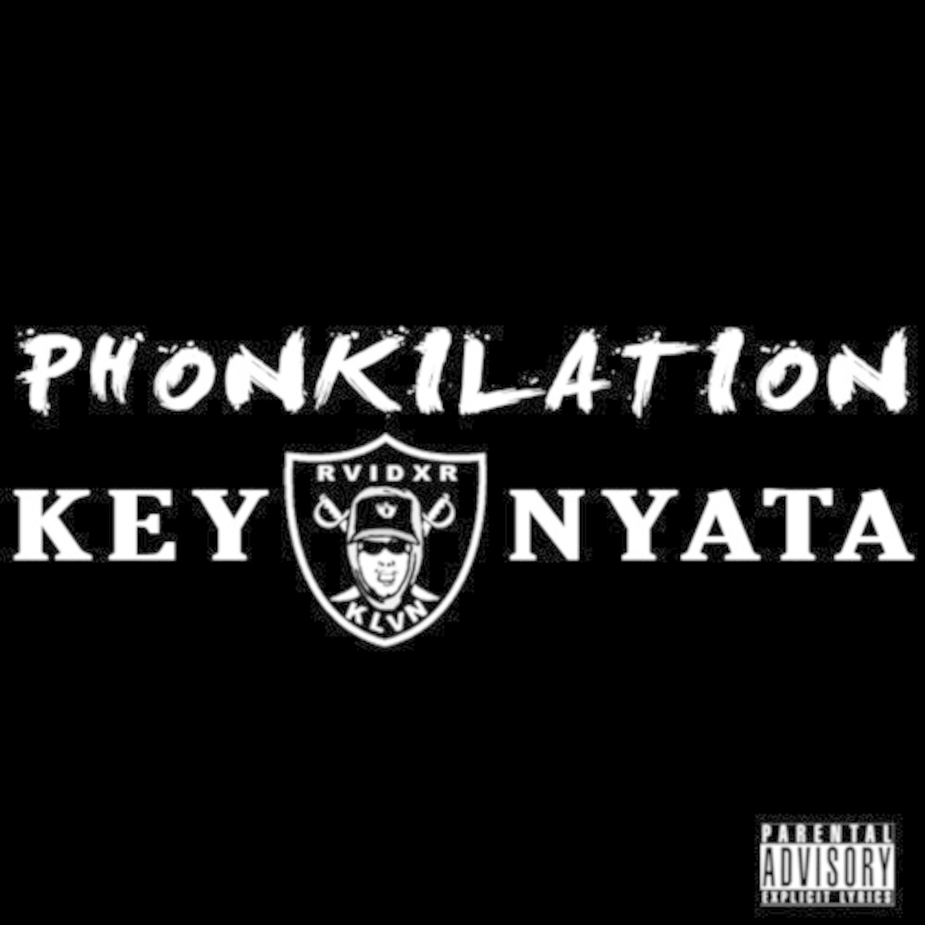 Phonkilation album cover