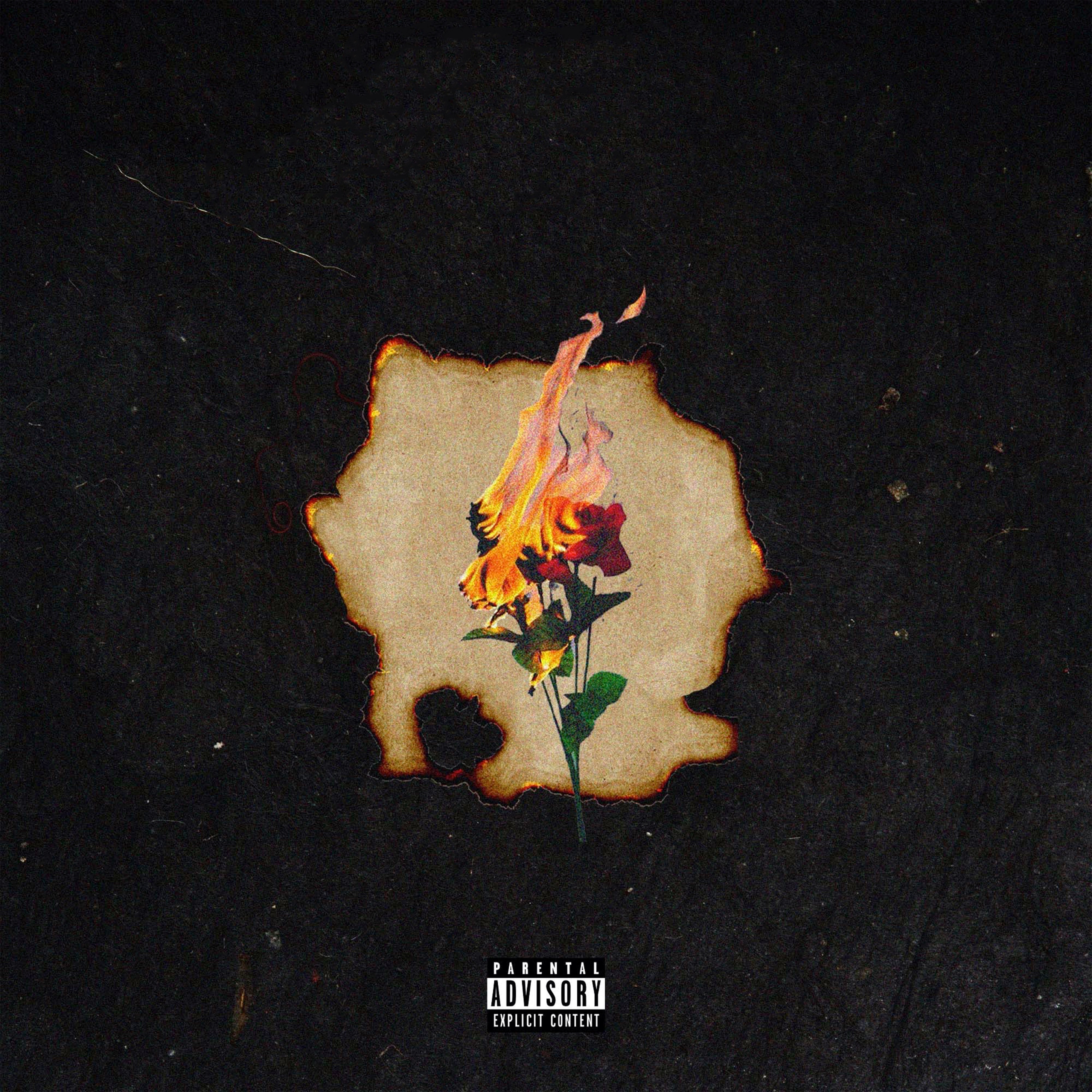 No Love Freestyle - Single album cover