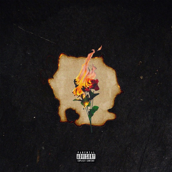 No Love Freestyle - Single album cover