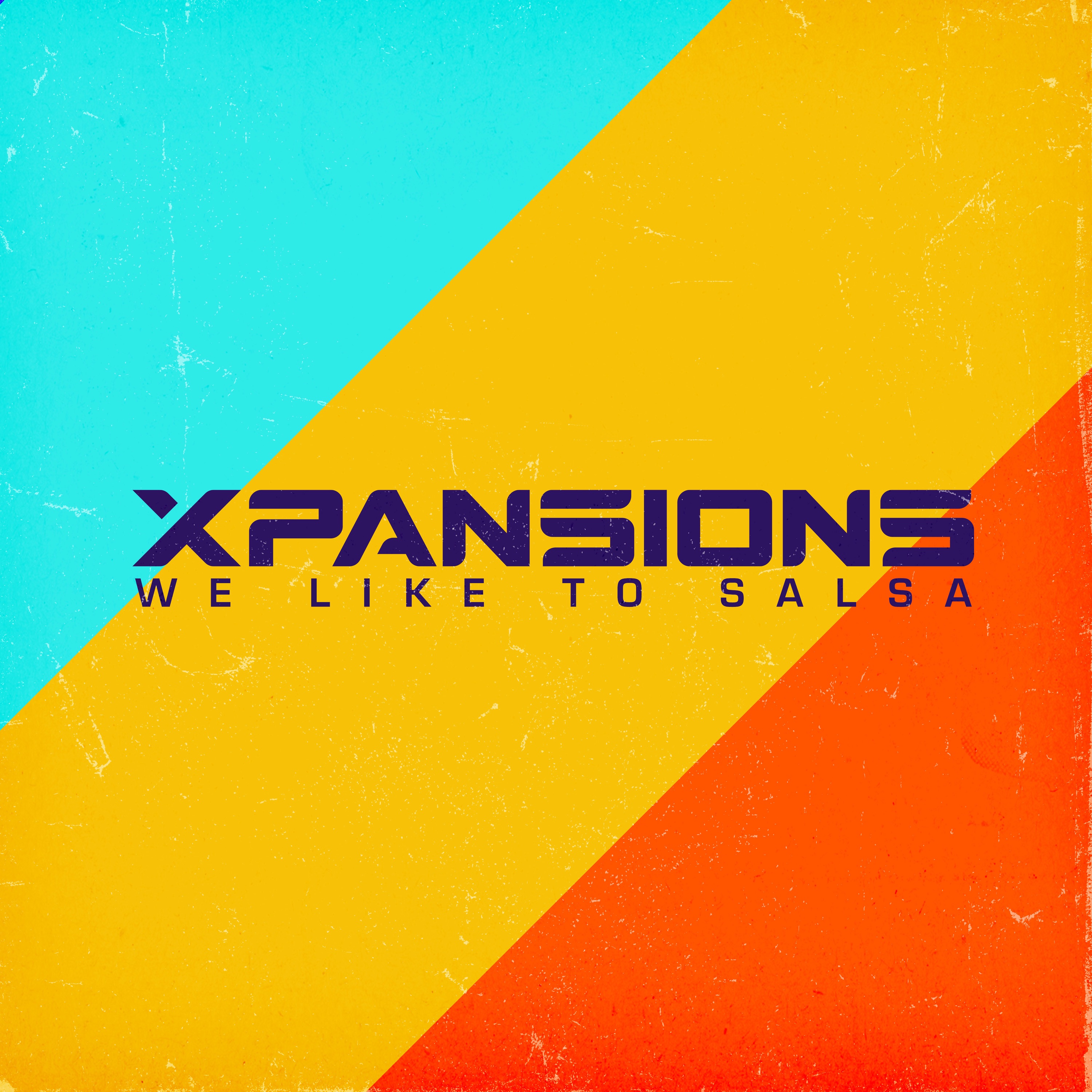 We Like to Salsa - Single album cover