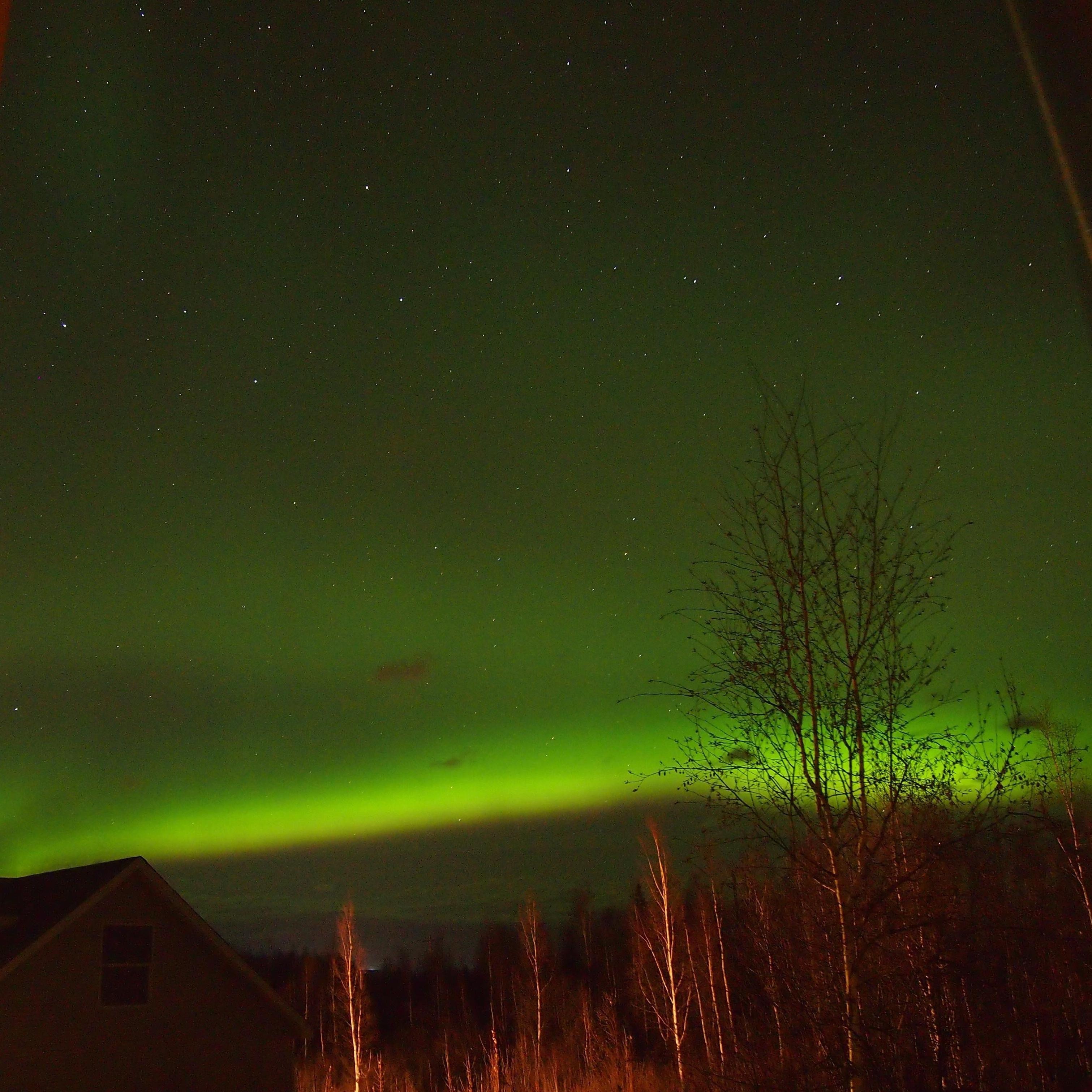 When the CD Skips - Single album cover