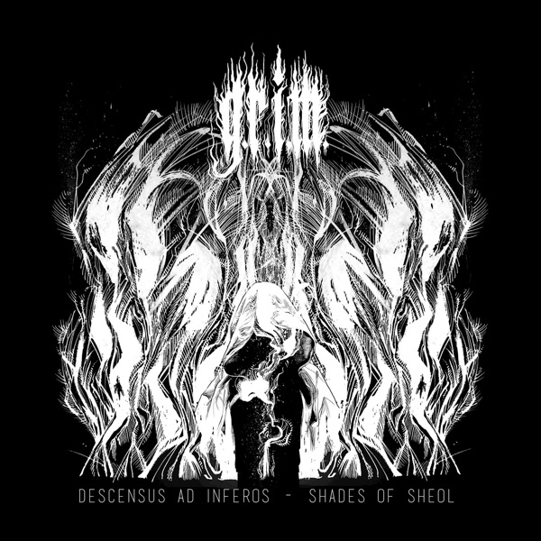 Descensus Ad Inferos - Shades of Sheol album cover