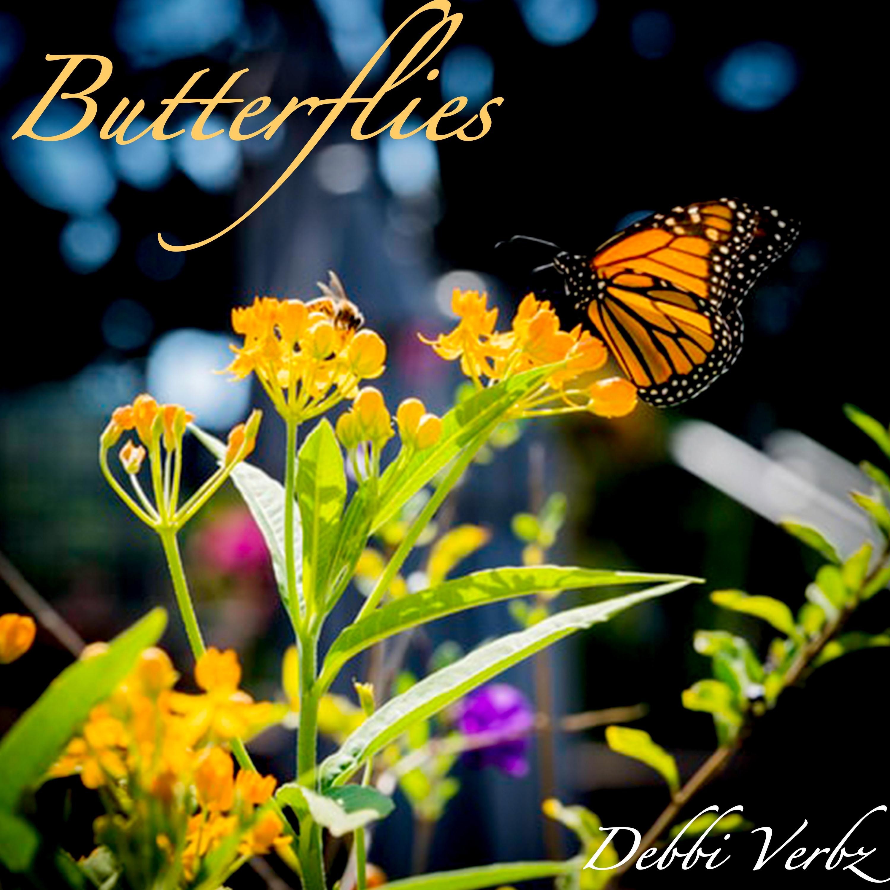 Butterflies - Single album cover
